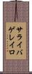 サライバゲレイロ Scroll