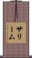 Saleem Scroll