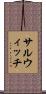 サルウィッチ Scroll