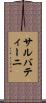 サルバティーニ Scroll