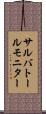 サルバトール・モニター Scroll