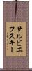 サルビエフスキー Scroll
