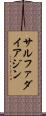 サルファダイアジン Scroll