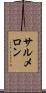 Salmeron Scroll