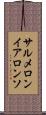 サルメロンイアロンソ Scroll