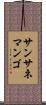 サンサネマンゴ Scroll