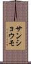 サンショウモ Scroll