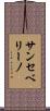 サンセベリーノ Scroll