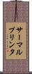 サーマルプリンタ Scroll