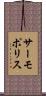 サーモポリス Scroll