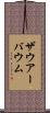 ザウアーバウム Scroll