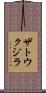 ザトウクジラ Scroll