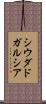 シウダドガルシア Scroll