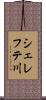シェレフテ川 Scroll