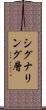 シグナリング層 Scroll