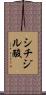 シチジル酸 Scroll