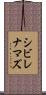 シビレナマズ Scroll