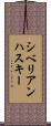 シベリアンハスキー Scroll