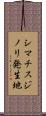 シマチスジノリ発生地 Scroll