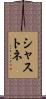 シャストネ Scroll