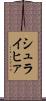 シュライヒァ Scroll