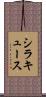 シラキュース Scroll