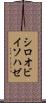 シロオビイソハゼ Scroll