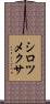 シロツメクサ Scroll