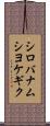 シロバナムシヨケギク Scroll