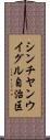 シンチヤンウイグル自治区 Scroll