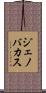Jenovacus Scroll
