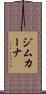 ジムカーナ Scroll