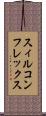 スィルコンフレックス Scroll