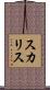 Scalise Scroll