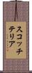 スコッチ・テリア Scroll
