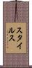スタイルス Scroll