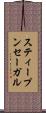 スティープンセーガル Scroll