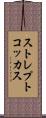 ストレプトコッカス Scroll