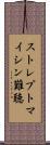 ストレプトマイシン難聴 Scroll