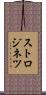 ストロジネツ Scroll