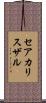 セアカリスザル Scroll