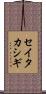 セイタカシギ Scroll