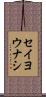 セイヨウナシ Scroll
