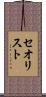 セオリスト Scroll
