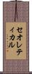セオレティカル Scroll