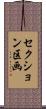 セクション区画 Scroll