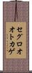 セグロオオトカゲ Scroll