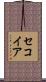 セコイア Scroll