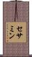 セサミン Scroll