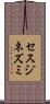 セスジネズミ Scroll